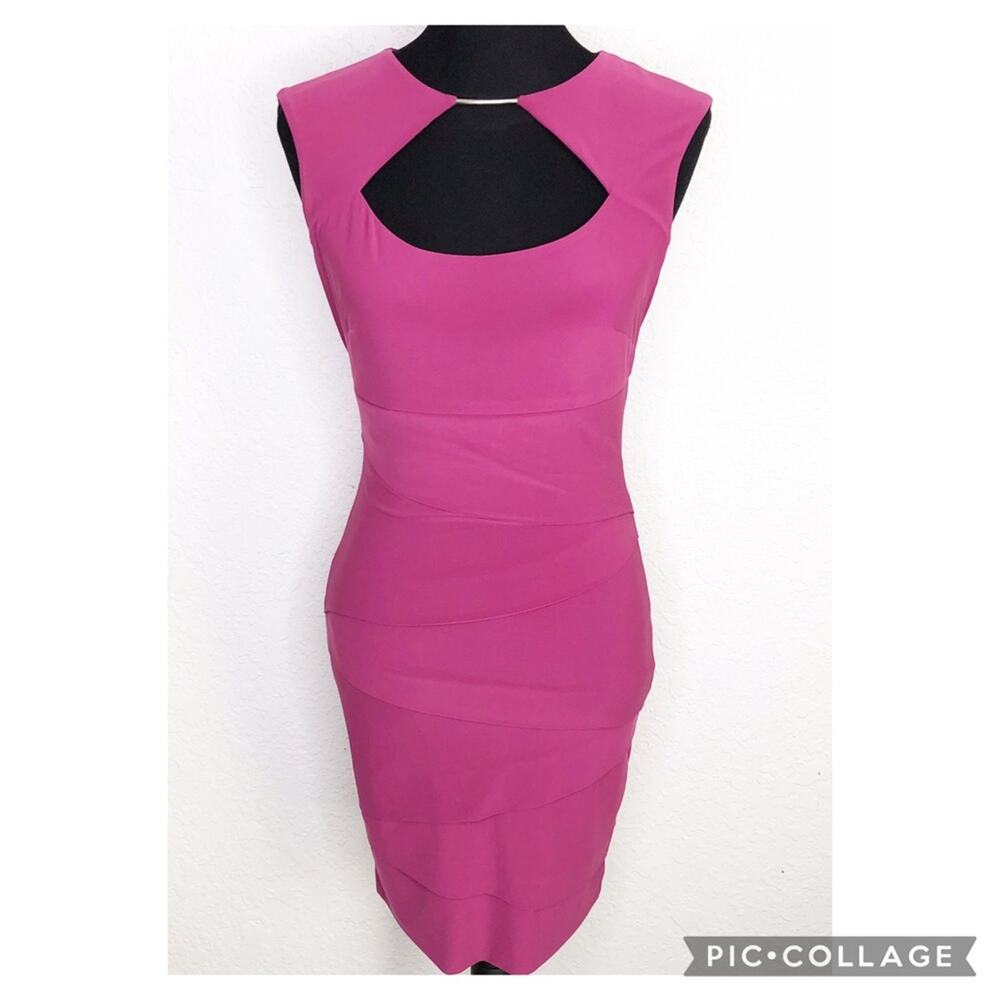 WHBM pink cutout silver bar neckline sleeveless layered sheath dress size 4